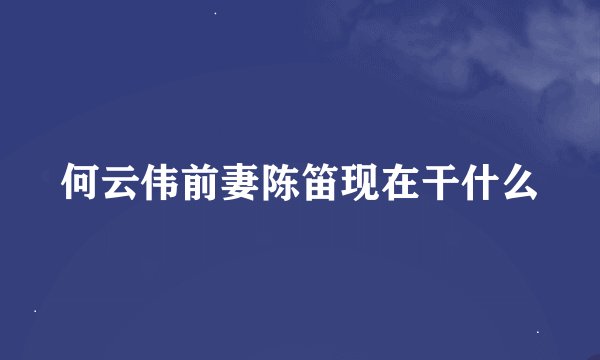 何云伟前妻陈笛现在干什么