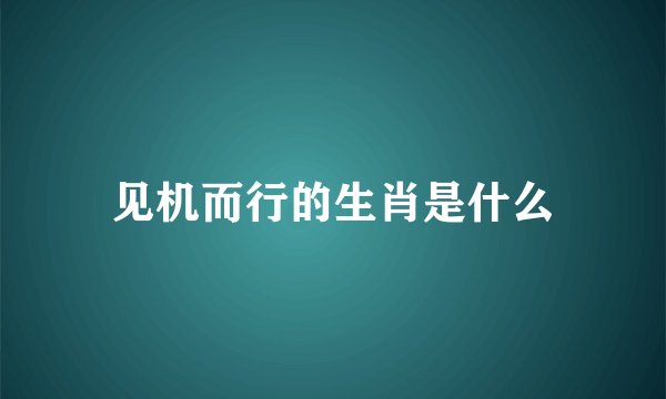 见机而行的生肖是什么