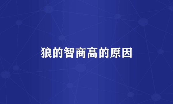 狼的智商高的原因