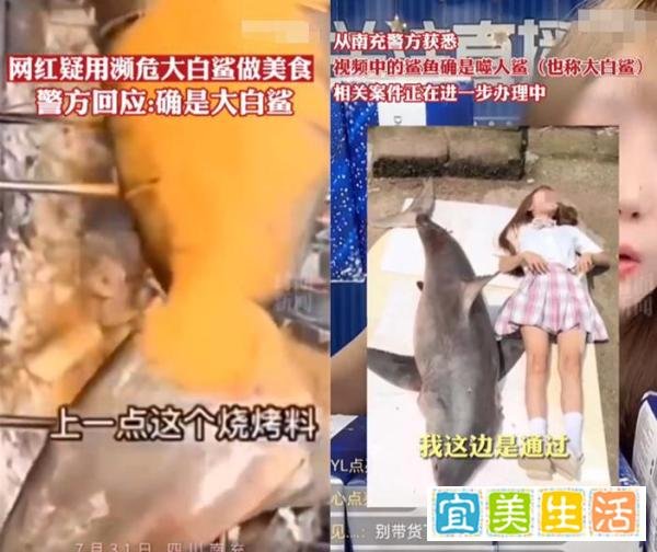 实锤：又一百万粉丝女网红涉案被封！巴子与六大门派恩怨情仇曝光