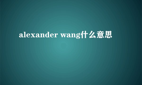 alexander wang什么意思