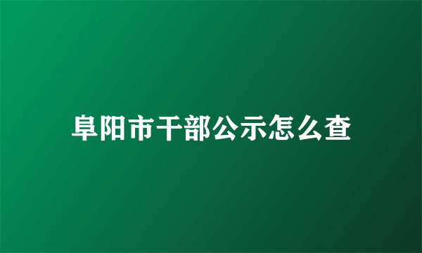 阜阳市干部公示怎么查