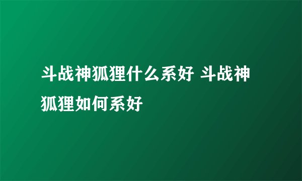 斗战神狐狸什么系好 斗战神狐狸如何系好