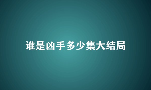 谁是凶手多少集大结局