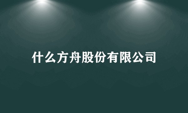 什么方舟股份有限公司