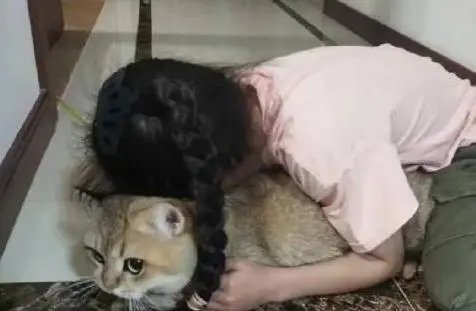 广西南宁一95后女孩贴猫亲昵脸上患脚气,这件事给予我们哪些警示?