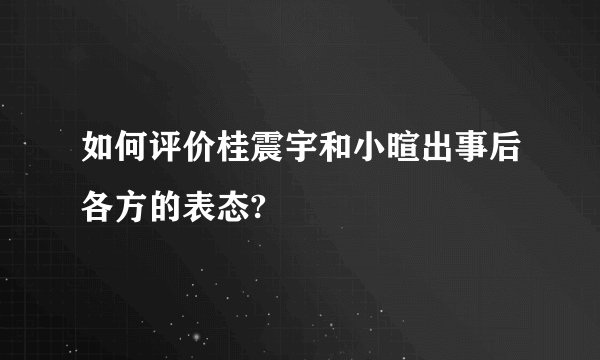 如何评价桂震宇和小暄出事后各方的表态?