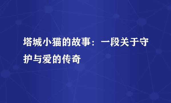 塔城小猫的故事：一段关于守护与爱的传奇
