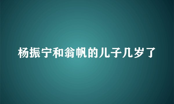 杨振宁和翁帆的儿子几岁了