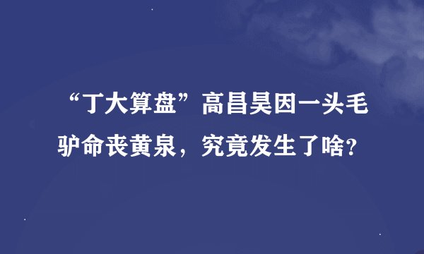 “丁大算盘”高昌昊因一头毛驴命丧黄泉，究竟发生了啥？