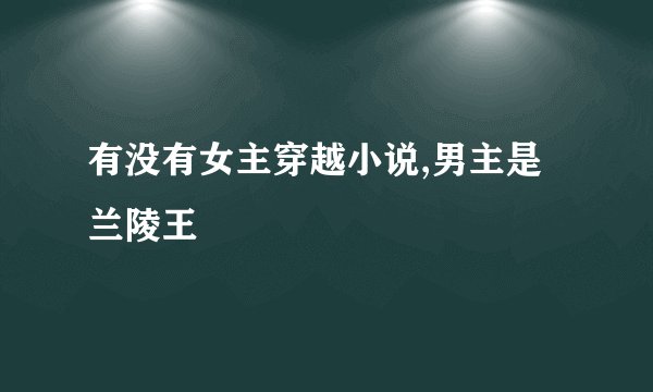 有没有女主穿越小说,男主是兰陵王