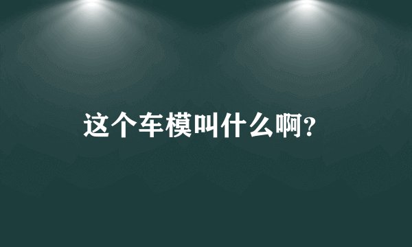 这个车模叫什么啊？