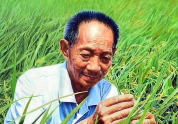 WA是什么意思?