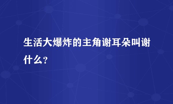 生活大爆炸的主角谢耳朵叫谢什么？