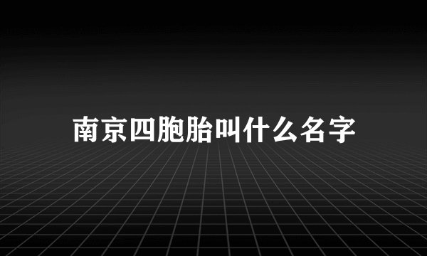 南京四胞胎叫什么名字