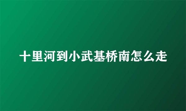 十里河到小武基桥南怎么走