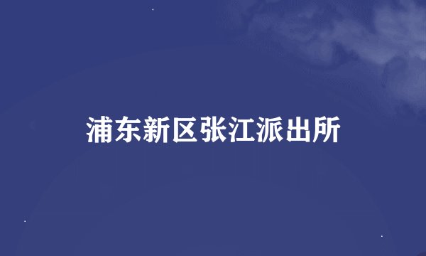 浦东新区张江派出所