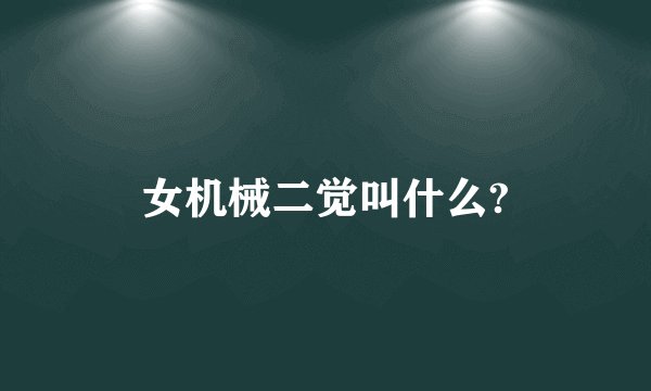 女机械二觉叫什么?