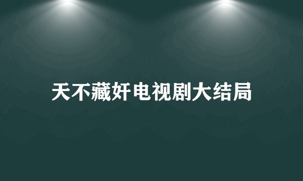 天不藏奸电视剧大结局