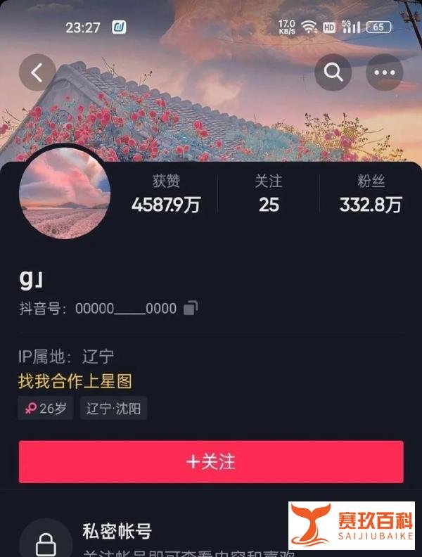 白手起家?王澄澄疑用警用飞机拍段子高调炫富遭翻车