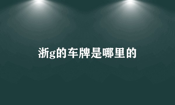 浙g的车牌是哪里的