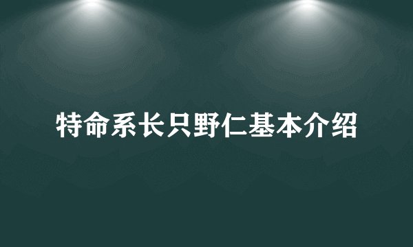 特命系长只野仁基本介绍