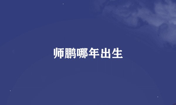 师鹏哪年出生