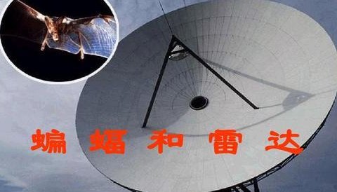 蝙蝠的嘴相当于雷达的什么?