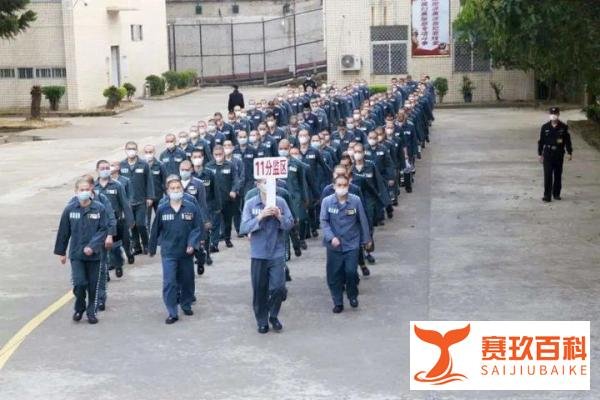 监狱潜规则与牢头狱霸现象的深入解析