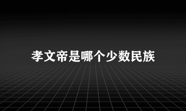 孝文帝是哪个少数民族
