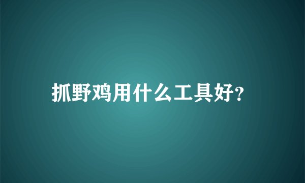 抓野鸡用什么工具好？