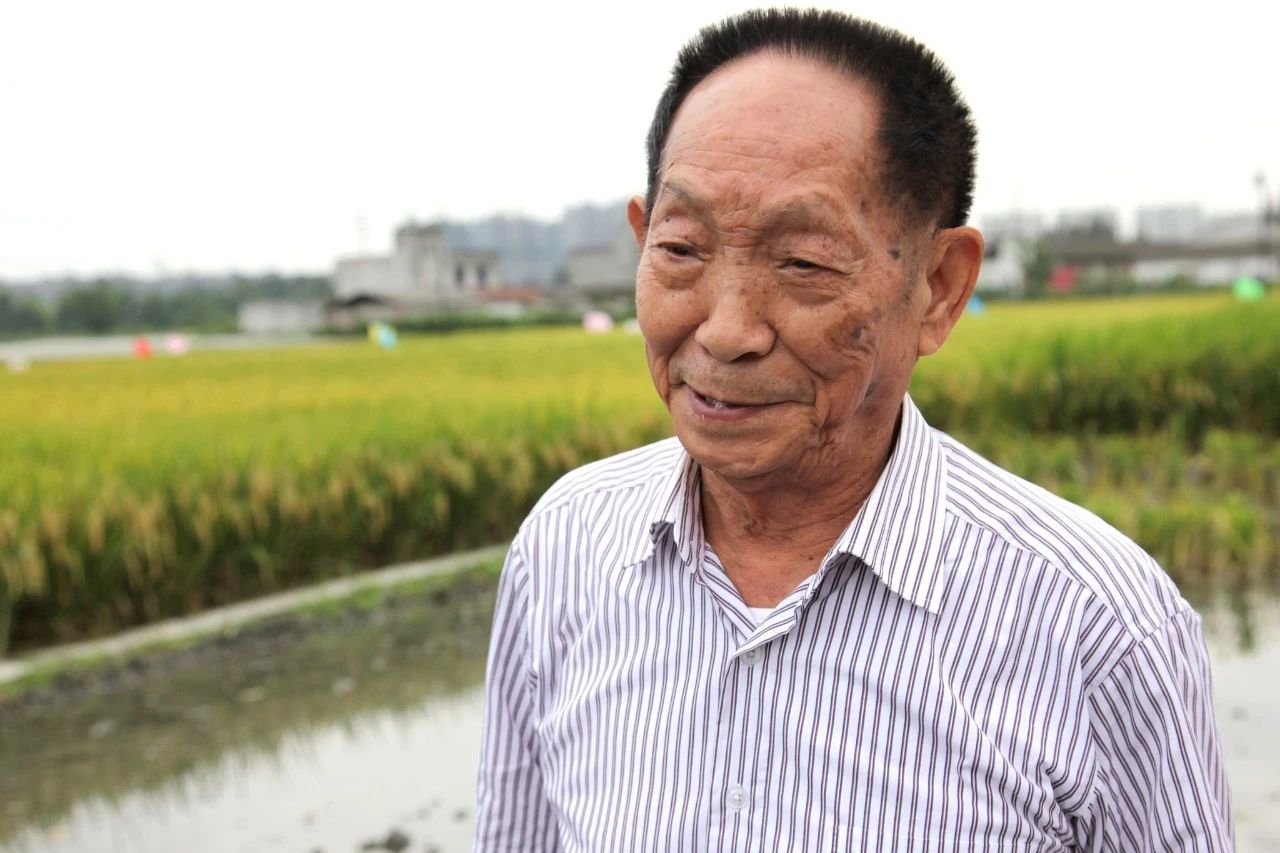 袁隆平去世享年91岁,众星发声悼念:一路走好,你还记得课本上的他吗?