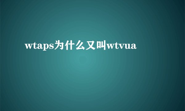 wtaps为什么又叫wtvua