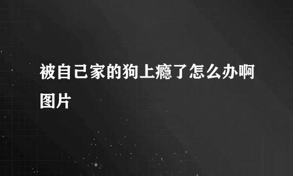 被自己家的狗上瘾了怎么办啊图片