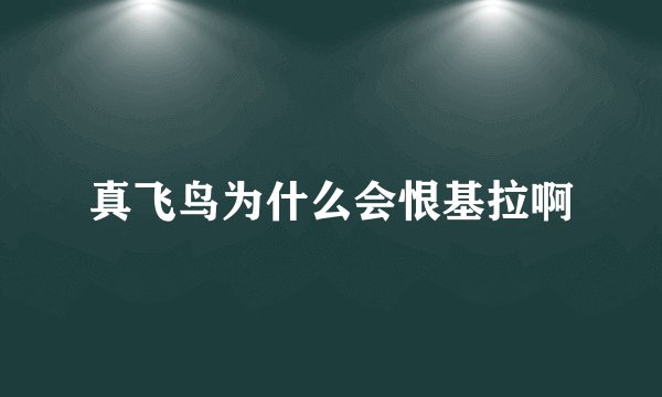 真飞鸟为什么会恨基拉啊