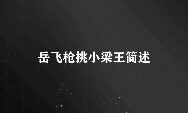 岳飞枪挑小梁王简述