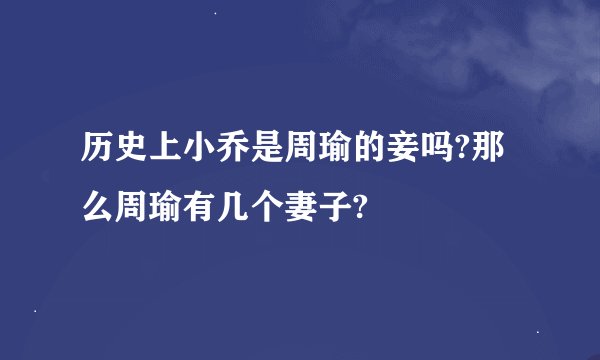 历史上小乔是周瑜的妾吗?那么周瑜有几个妻子?