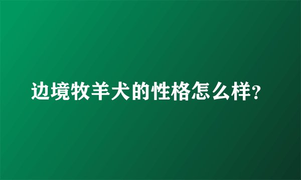 边境牧羊犬的性格怎么样？