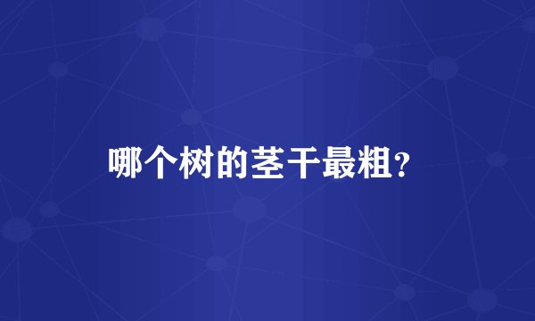 哪个树的茎干最粗？