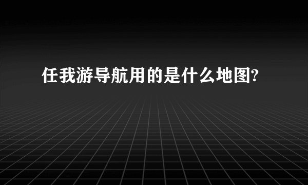 任我游导航用的是什么地图?