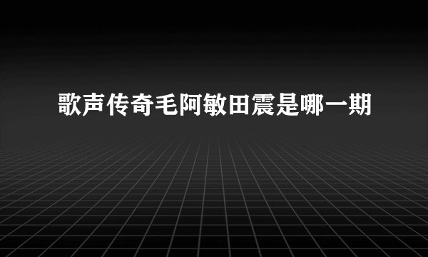 歌声传奇毛阿敏田震是哪一期