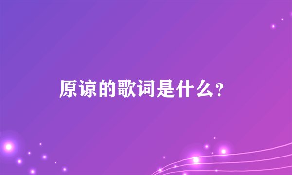 原谅的歌词是什么？