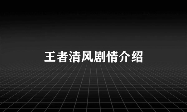 王者清风剧情介绍