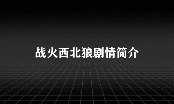 战火西北狼剧情简介