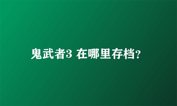鬼武者3 在哪里存档？