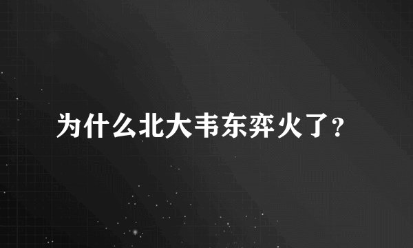 为什么北大韦东弈火了？