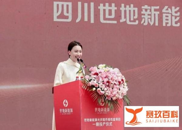 “超女”冯家妹成新能源董事长