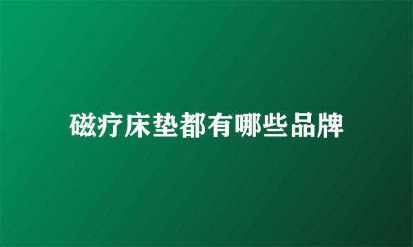 磁疗床垫都有哪些品牌