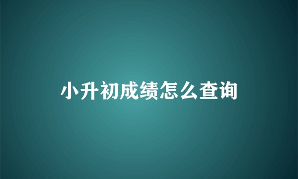 小升初成绩怎么查询