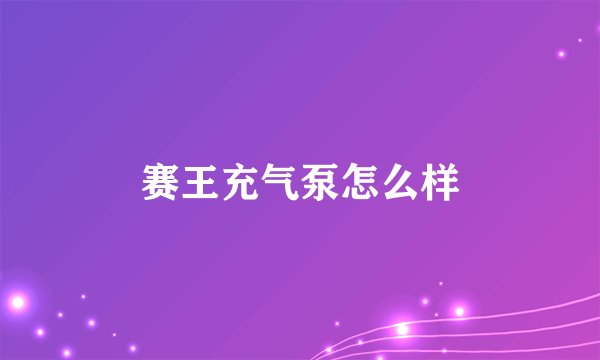 赛王充气泵怎么样